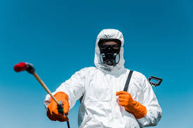 Emergency Pest Control Services in Taylor, PA